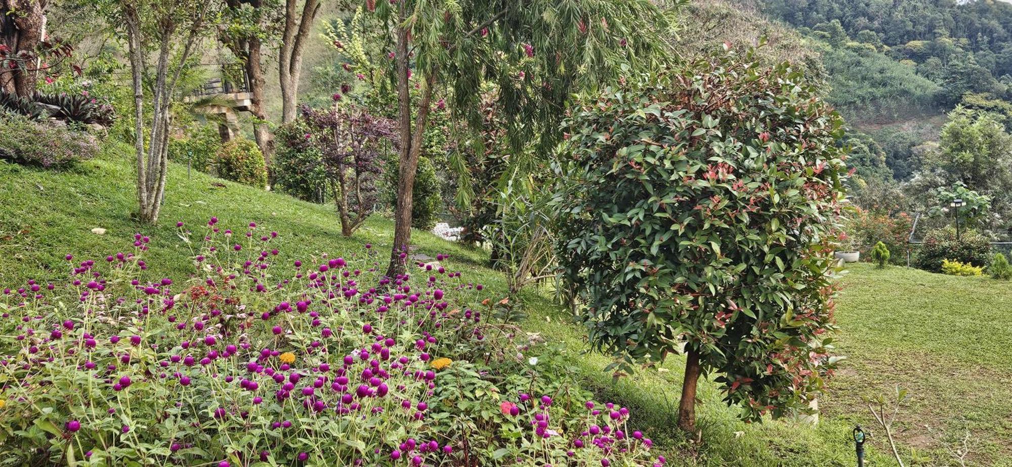 Sithara Estate Bungalow Ella Eksteriør bilde