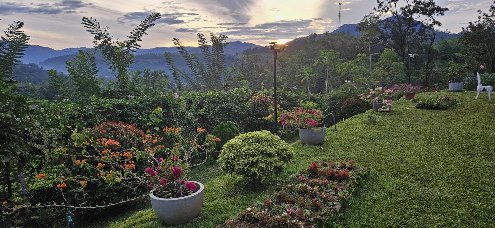 Sithara Estate Bungalow Ella Eksteriør bilde
