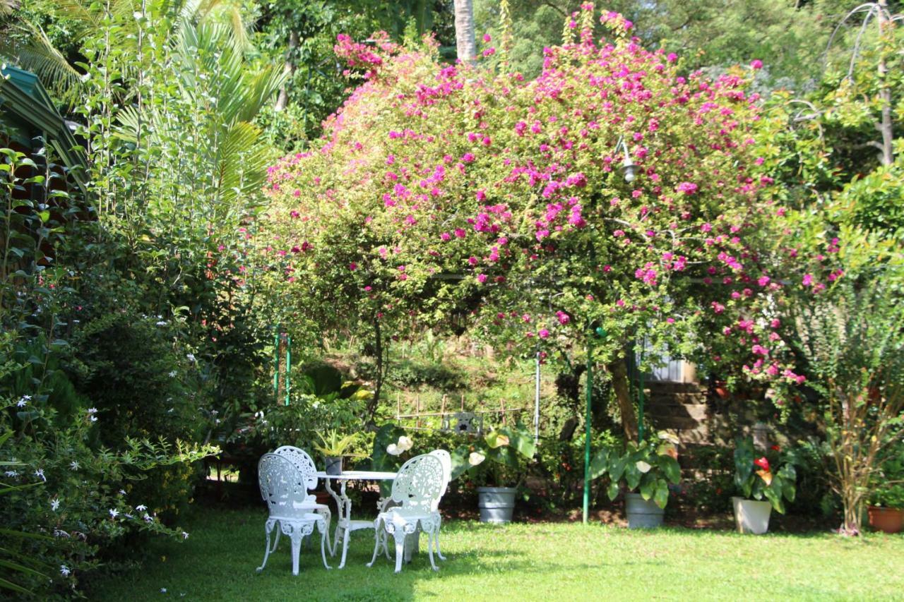 Sithara Estate Bungalow Ella Eksteriør bilde